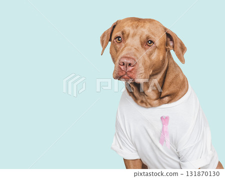 Cute dog and Pink Awareness Ribbon. Express moral support 131870130