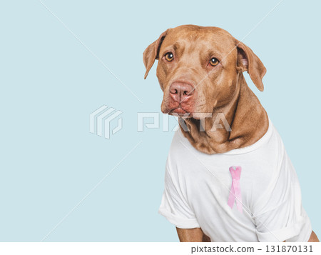 Cute dog and Pink Awareness Ribbon. Express moral support 131870131