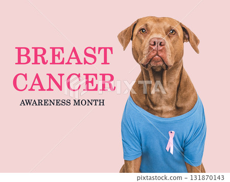 Cute dog and Pink Awareness Ribbon. Express moral support Cute dog and Pink Awareness Ribbon. Express moral support 131870143