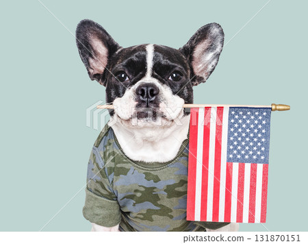 Cute puppy, American Flag and military t-shirt. Studio shot Cute puppy, American Flag and military t-shirt. Studio shot 131870151