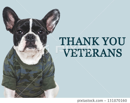 Veterans Day. Adorable puppy, American Flag and congratulatory inscription 131870160