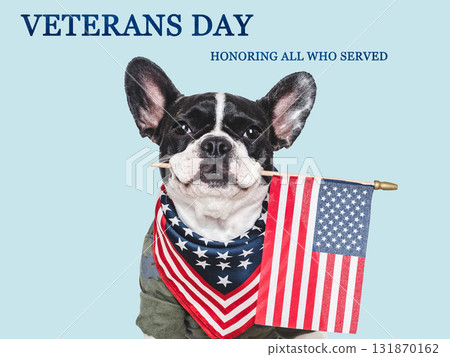 Veterans Day. Adorable puppy, American Flag and congratulatory inscription 131870162