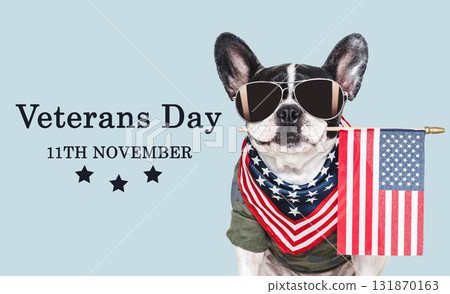 Veterans Day. Adorable puppy, American Flag and congratulatory inscription 131870163