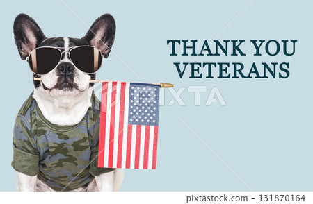 Veterans Day. Adorable puppy, American Flag and congratulatory inscription 131870164