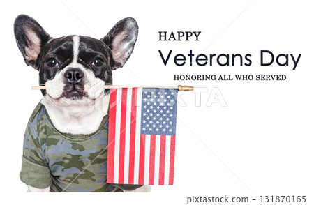 Veterans Day. Adorable puppy, American Flag and congratulatory inscription 131870165