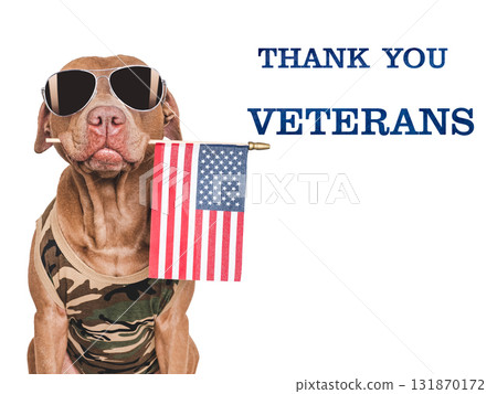 Veterans Day. Adorable puppy, American Flag and congratulatory inscription 131870172