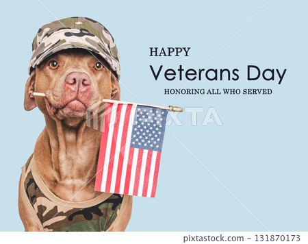Veterans Day. Adorable puppy, American Flag and congratulatory inscription 131870173
