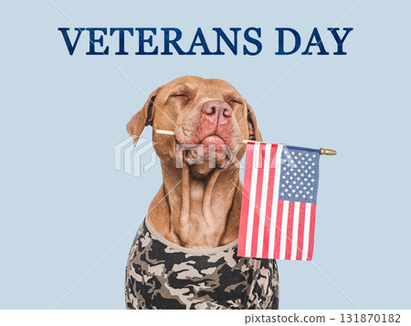 Veterans Day. Adorable puppy, American Flag and congratulatory inscription 131870182
