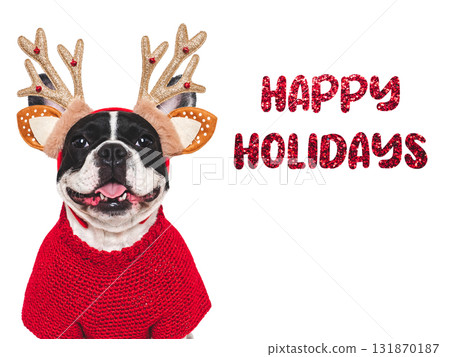 Merry Christmas and Happy New Year. Charming dog 131870187