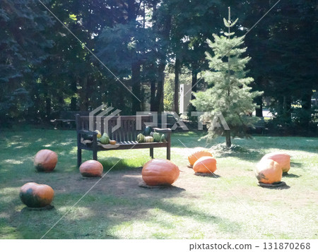 Large pumpkin and bench Large pumpkin and bench 131870268