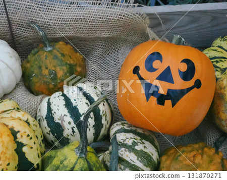 Halloween pumpkin display 131870271