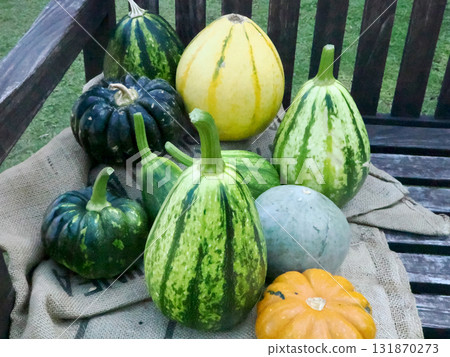 Lined up pumpkins Lined up pumpkins 131870273