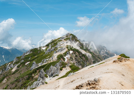 Mt. Tsubakuro in early summer 131870503