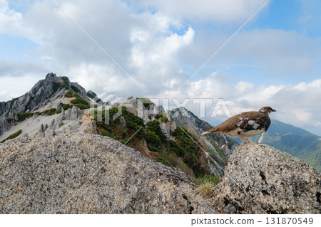 初夏的椿山 初夏的椿山 131870549