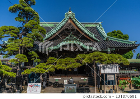 葛飾柴又帝釋天寺的帝釋堂和雄偉的松樹 131870691