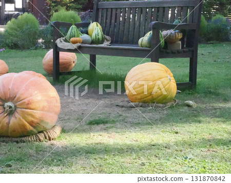 Large pumpkin and bench Large pumpkin and bench 131870842