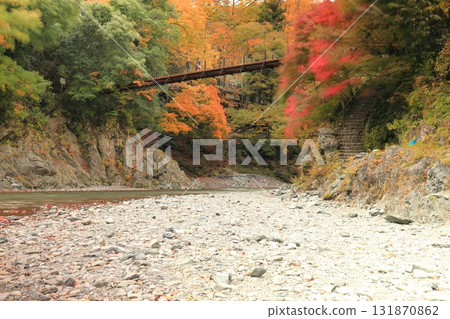 Autumn leaves in the Hikawa Valley Autumn leaves in the Hikawa Valley 131870862