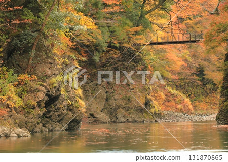 Autumn leaves in the Hikawa Valley Autumn leaves in the Hikawa Valley 131870865