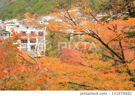 Autumn leaves in the Hikawa Valley 131870882