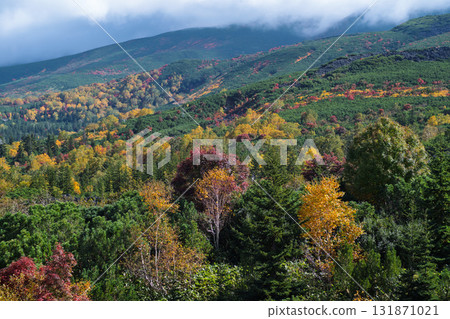 The Daisetsuzan mountain range and autumn foliage seen from Tokachidake Bogakudai 131871021