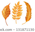 Watercolor hand drawn illustration of red orange yellow fall autumn leaves. Leaf of oak birch trees, forest wood woodland elements, thanksgiving decor art. Bright colorful foliage print. 131871130
