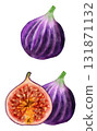 Hand drawn watercolor illustration of fig fruit. Fresh ripe purple juicy food, tropical vitamin slice dessert, natural butrition fresh seeds eating. 131871132