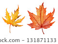 Watercolor hand drawn illustration of red orange yellow fall autumn leaves. Leaf of oak birch trees, forest wood woodland elements, thanksgiving decor art. Bright colorful foliage print. 131871133