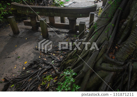 原子社神社的埋藏黑色鳥居 131871211