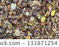 Yellow and brown leaves (dead leaves) that had fallen densely on the road surface in autumn. The surface of the road became a carpet of dead leaves. 131871254