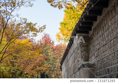 Deoksugung Stonewall Walkway with beautiful autumn foliage. It is the pedestrian footpath that runs next to Deoksugung Palace in Seoul, South Korea 131871293