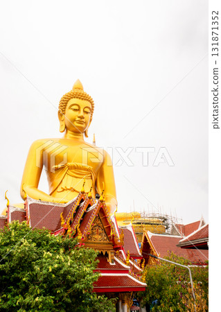 Wat Pak Nam 131871352