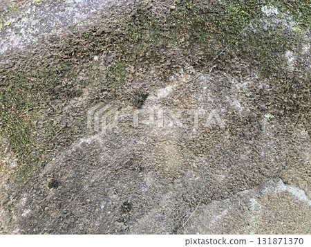 Rock with moss Rock with moss 131871370