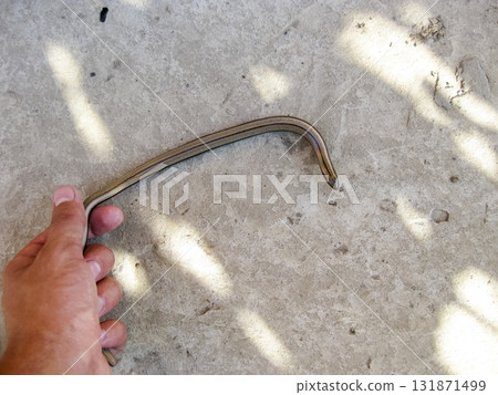 Veretenitsa fragile. Legless lizard. Reptile Veretenitsa fragile. Legless lizard. Reptile 131871499