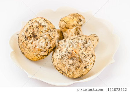 Matsutake mushroom with its cap open 131872512