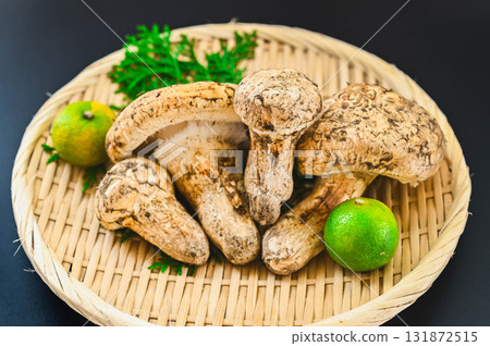 Matsutake mushroom with its cap open Matsutake mushroom with its cap open 131872515