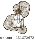 jar with wood essential oil. aromatherapy, medicine. vector illustration in sketch style 131872672