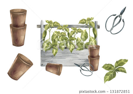 Gardening watercolor illustrations set with flower clay pot, scissors and green basil springs. Hand drawn floral clipart with herb spices painting, home plant hobby drawing for sticker,grocery design Gardening watercolor illustrations set with flower clay pot, scissors and green basil springs. Hand drawn floral clipart with herb spices painting, home plant hobby drawing for sticker,grocery design 131872851
