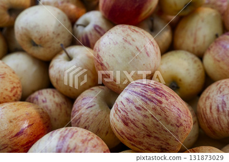 Bunch of apples with red and yellow stripes Bunch of apples with red and yellow stripes 131873029