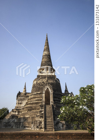 Large building with a steeple and a tree in front of it Large building with a steeple and a tree in front of it 131873142