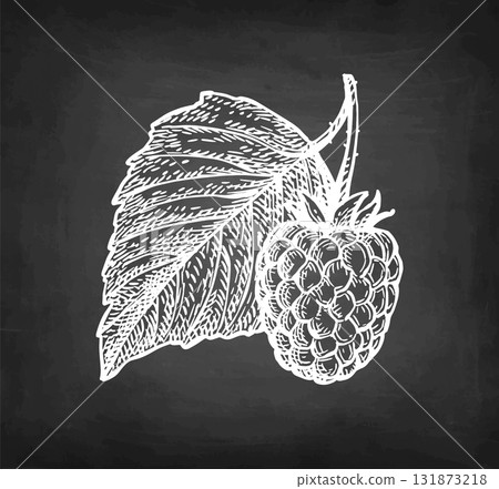 Raspberry with leaf. Raspberry with leaf. 131873218