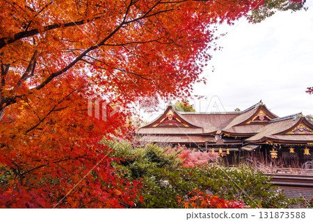 Kitano Tenmangu Shrine and Momijien Garden: Kyoto's famous autumn foliage spots and tourist spots in autumn Kitano Tenmangu Shrine and Momijien Garden: Kyoto's famous autumn foliage spots and tourist spots in autumn 131873588