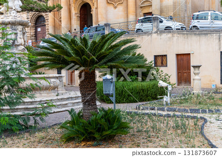 Tropical cycad palm near historic stone building Tropical cycad palm near historic stone building 131873607