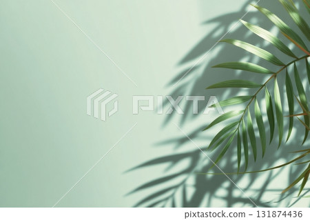 Minimal Abstract Background, Floor Space. Interior Design Projects. Light and Shadow. Tree Palm Leaves. Cosmetics Product Spa Stand Podium. Pastel Green Concrete Wall. Showcase Display Case. Mockup Ad 131874436