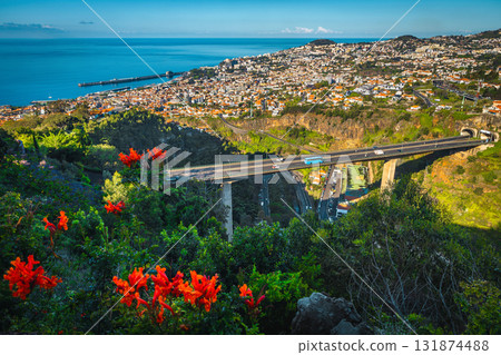 Funchal city view from the botanical garden, Madeira Island, Portugal Funchal city view from the botanical garden, Madeira Island, Portugal 131874488