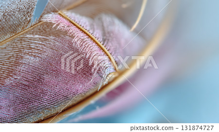 Close-up macro image of colorful feathers 131874727