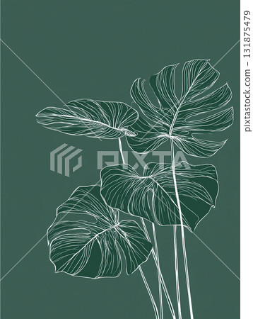 White line art outlines of monstera leaves cascade down a deep, solid green background, creating a minimalist tropical design. 131875479