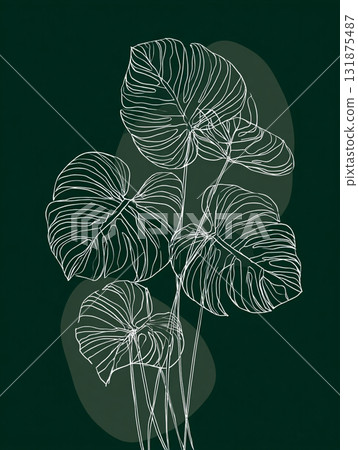 White line art outlines of monstera leaves cascade down a deep, solid green background, creating a minimalist tropical design. White line art outlines of monstera leaves cascade down a deep, solid green background, creating a minimalist tropical design. 131875487