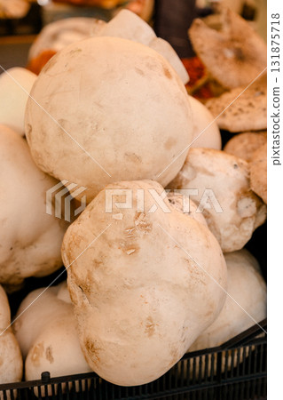 Fresh puffball mushrooms photographed closeup in bulk, symbolizing wild forest harvest, organic Fresh puffball mushrooms photographed closeup in bulk, symbolizing wild forest harvest, organic 131875718