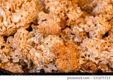 Fresh sparassis mushroom photographed closeup with curly texture, symbolizing forest harvest Fresh sparassis mushroom photographed closeup with curly texture, symbolizing forest harvest 131875723