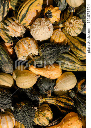 Fresh decorative gourds in assorted colors and shapes stacked in a pile, symbolizing autumn harvest Fresh decorative gourds in assorted colors and shapes stacked in a pile, symbolizing autumn harvest 131875724